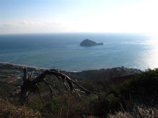 L'Isola Gallinara