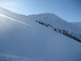 fuori dal bosco