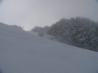 scorcio