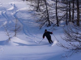 Andrea in discesa su abbondante farina
