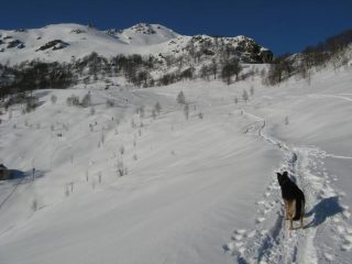 uno sguardo verso la cima