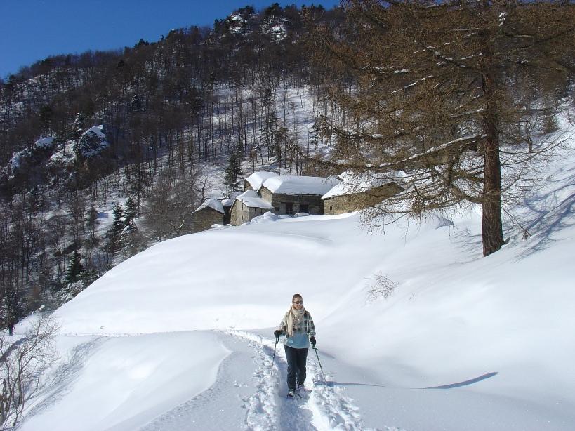 elisa alla borg. Colletto