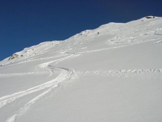 Primi passi..