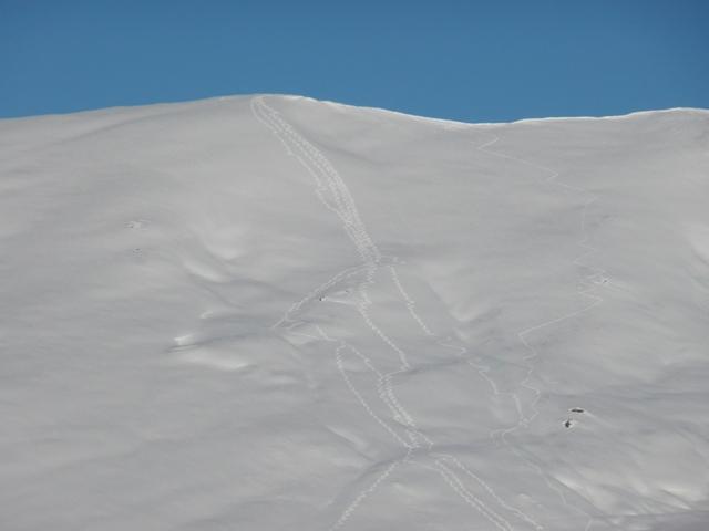 Descrizione superflua...  ;-))