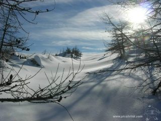 alcune splendide vallettine
