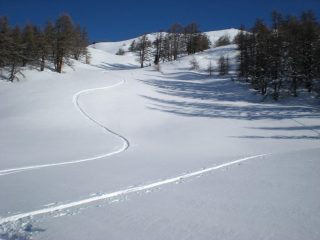 Pista rossella
