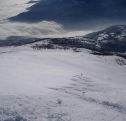 davide serpeggia
