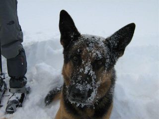 Febo ..per gli amici Fergusson