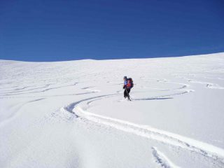 MIRELLA RICAMA SULLA CANADESE