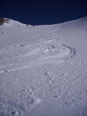 sbisciate sotto il rifugio