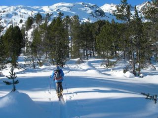all'uscita dal bosco, sopra gli ampi pendii da salire
