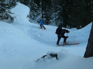salendo la ripida mulattiera nel bosco