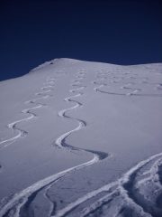 bel lavoro di aratura!