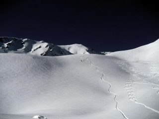 Stato di tracciatura