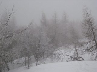 Paesaggio siberiano
