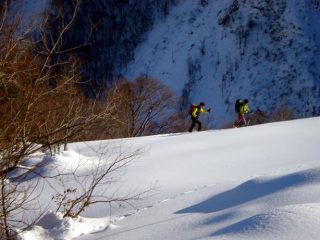breve risalita al limitar del bosco