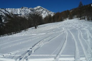 Ancora farina nella parte mediana