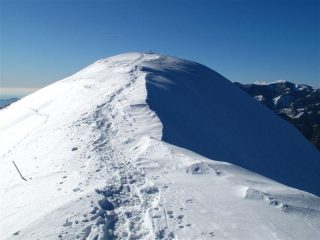 Monte Monega