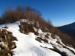 Sulla destra c'è l'uscita del sentiero dal bosco sulla dorsale per il Prearba