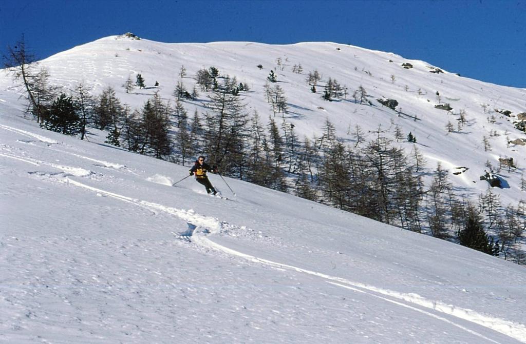 pendii aperti e ben sciabili