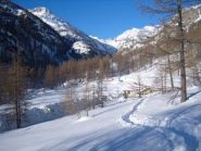 Campeggio Piccolo Paradiso 