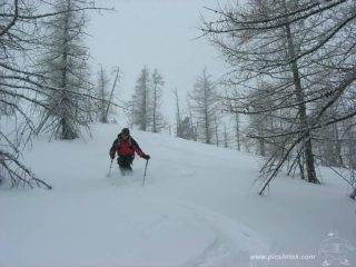 befano in powder..foto podina