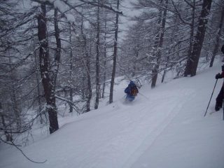 prime curve, tanta farina 