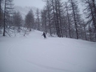 Silvia trova una radura