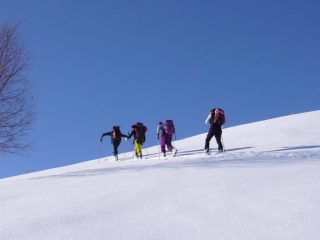 Salendo i bei panettoni