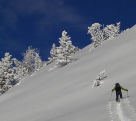 in salita...