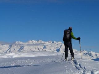 in cima