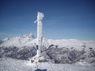 in cima