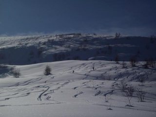 neve perfetta sotto il colle di Melle