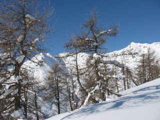 Angoli pittoreschi