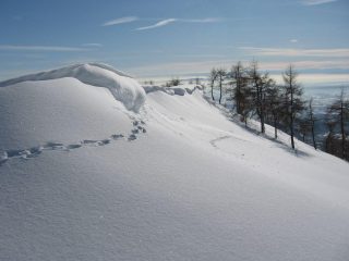 La cresta 