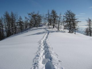 Panorama verso sud
