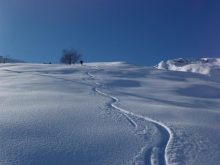 Ricami in discesa