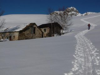 all'alpe muanda
