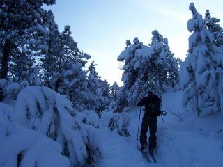 Canada? No! Appennino Ligure