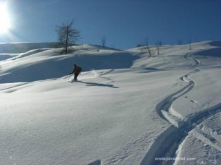sue curve :-)..