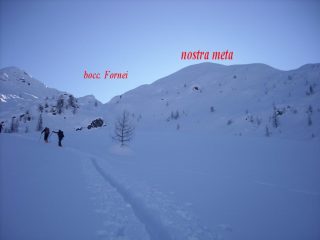 la cima
