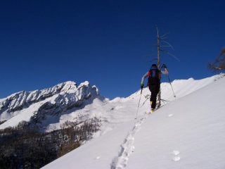 Salita