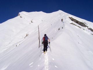 La pianta segnale del traverso