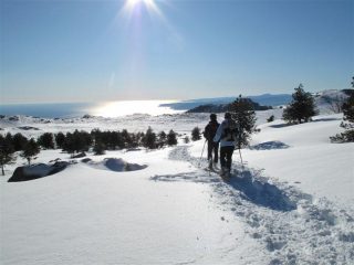 Di ritorno, lontano l'Isola Gallinara e Capo Mele