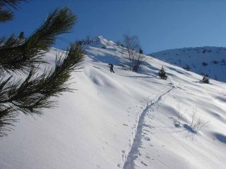 Inizio della dorsale intermedia