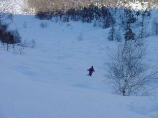 La pietraia è ben coperta