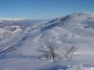 Al centro il vicino Druina