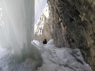 Mat sul secondo tiro del Gorgosauro