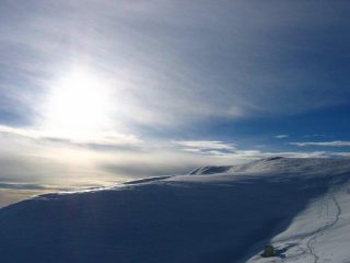 Ancora qualche tratto di farina....