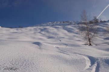 belle curvette nel valloncello di discesa..